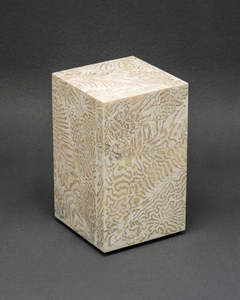 Chauncey Flay: SEAWALL 19