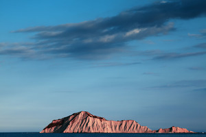 PINK MOTU-O-KURA, 2018