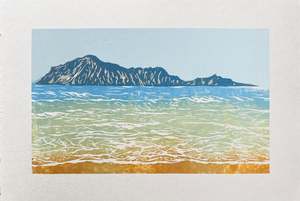 Nicola Tucker: BARE ISLAND FROM WAIMARARMA #7, 2025