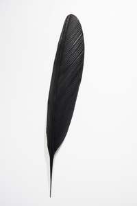 TUI COPPER FEATHER (1.23 M)