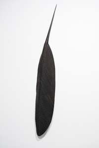 TUI COPPER FEATHER (1.24 m)