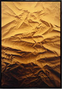 SHADOW PLAY SEPIA TONES