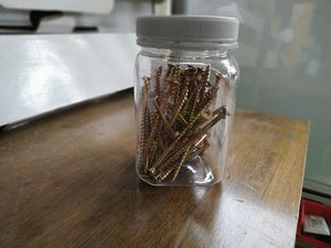 Products: 8g x 75mm CSK Square 2 Surefast Screw Jar of 50 Musgroves