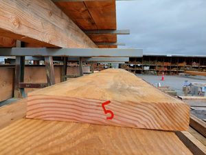 Products: NZ Oregon 300x50 Roughsawn New Musgroves
