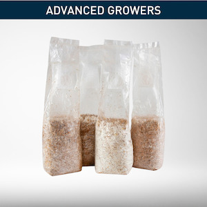 Home & Garden: Mushroom Spawn