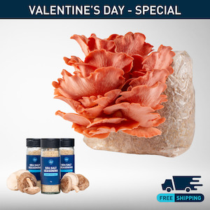 All: Valentine's Day Special