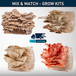 All: Grow Kit: Bundle