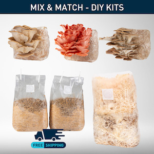 DIY Grow Kit: Bundle