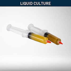 All: Mushroom Cultures | Liquid