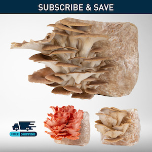 All: Grow Kit | Subscription