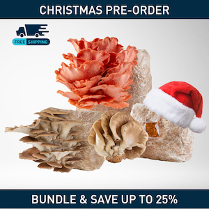 🎄 Christmas Mushroom Grow Kit: Limited Pre-Order