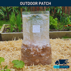 All: King Stropharia: Outdoor Patch (Shipping 10th Oct)