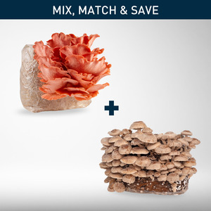 All: Grow Kit Bundle | 2-Pack