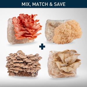 All: Grow Kit Bundle | 4-Pack