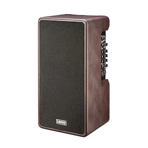 Laney A-DUO A Series 120W Acoustic Instrument Combo Amplifier - Music Machine - &hellip;
