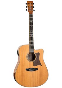 Tanglewood: Tanglewood TRD Reunion Dreadnought Acoustic Guitar wit