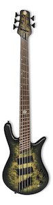 Spector: Spector NS Dimension 5-String Bass Guitar Haunted Moss