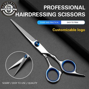 Products: Professional Hairdressing Scissors 6-Inch – Stainless Steel