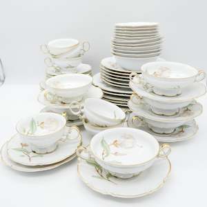 China Brand Hutschenreuther Germany: Hutschenreuther - Magnolia on Sylvia Shape - 6-setting Dinner Set