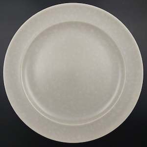 China Brand Poole England: Poole - Seagull - Salad Plate