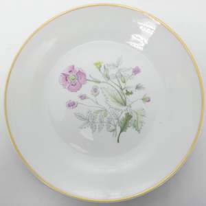 China Brand Richard Ginori Italy: Richard Ginori - Primavera - Luncheon Plate