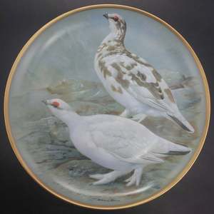 China Brand Limoges France: Limoges - Gamebirds of the World: Ptarmigan - Display Plate