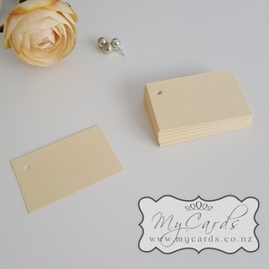 Tag Cream BLANK (Pack of 20) 45mm x 70mm