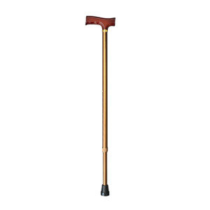 Sports Accessories: T-HANDLE WALKING STICK