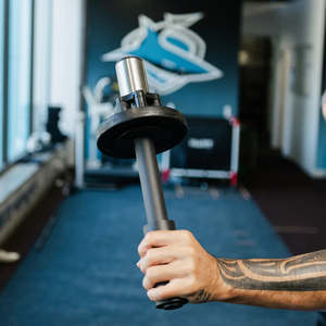 Dumbbells: THE WRIST AXE