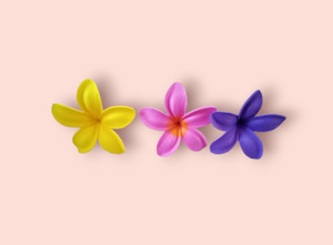 Handcrafted 1: Plumeria sei (Large)