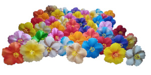 Handcrafted 1: Single Hibiscus sei (Sei Aute) Large