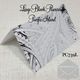 Blank Placecards Pacific Island 55mm High x 90mm Wide PC739L