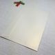 Ice Gold Metallic C5 Envelopes Rectangle Flap