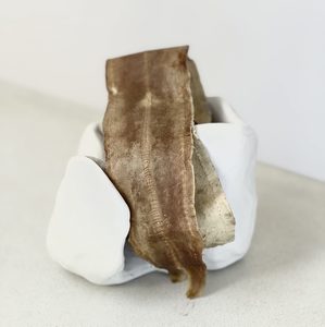 Aged eel skin - My Exhibition