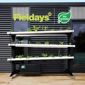 FIELDAYS 2025 Package