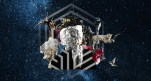 Out of the Box Live Upgrade Offer