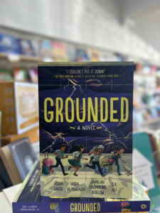 Chapter Books: Grounded