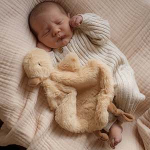 Brands: Pop Ya Tot - Comforter Toy | Quacks