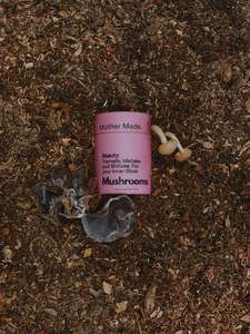 Mother Made - NEW Beauty Blend - Mushroom Supplement 100g