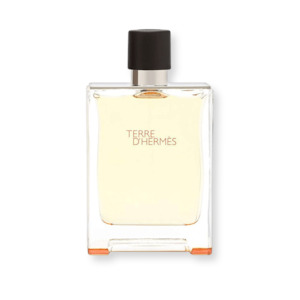 Terre Dhermes: Hermes Terre D'Hermes Delux Replica EDT