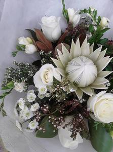Winter Wonders – Myrrh & Co Florist Mt Maunganui