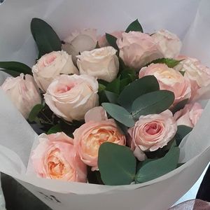 Products: Pink Roses – Myrrh & Co Florist Mt Maunganui