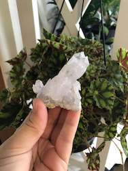 Vera Cruz Amethyst Specimen #53