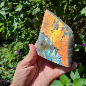 Labradorite Collection: Labradorite Freeform $52