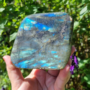 Labradorite Collection: Labradorite Freeform $72
