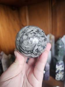 Orthoceras Fossil Sphere