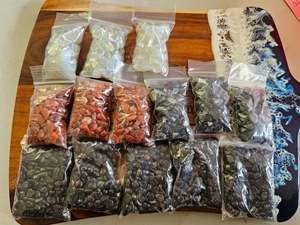 Jodie Mal Live Purchase 10.10