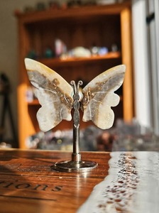 Carvings: Banded Onyx Wing Set