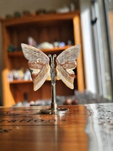 Carvings: Crazy Lace Agate Wing Set