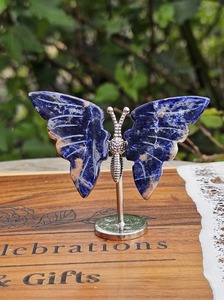 Carvings: Sodalite Wing Set